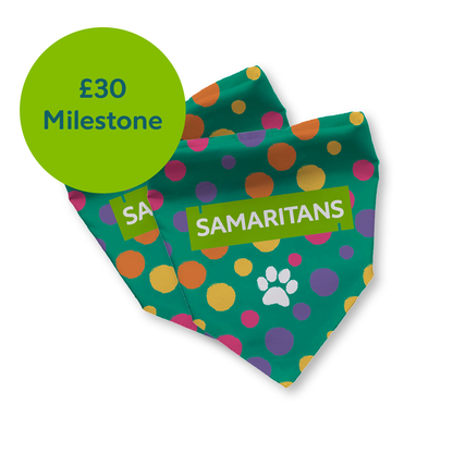 Dog Bandanna - Exclusive