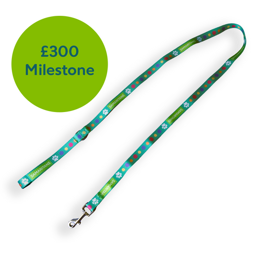 Dog Lead - Exclusive